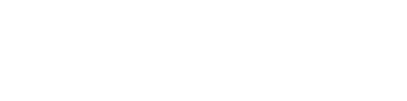 Dr Luiz Rodrigo Ferreira